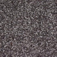 Orlando olifant 0120